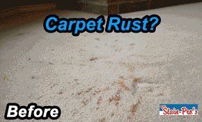carpet cleaning animation